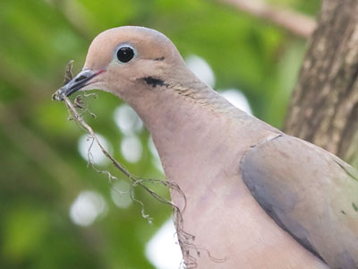 Home maintenance never ends.