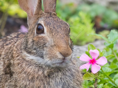 Remember to stop and eat the flowers.