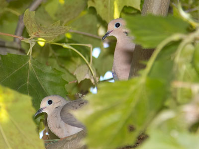 You think I don`t see you in there?