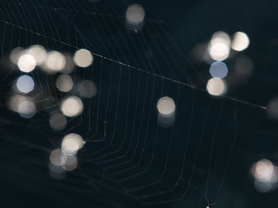 This was a difficult shot.