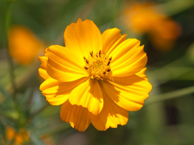 Soaking up the sunshine.