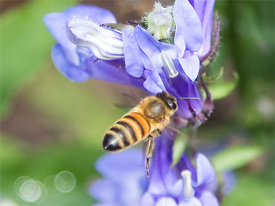 Am I the last of my kind?  JASON ISBELL