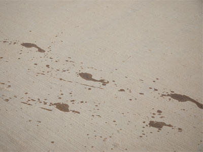 The splitter-splatter of wet feet.