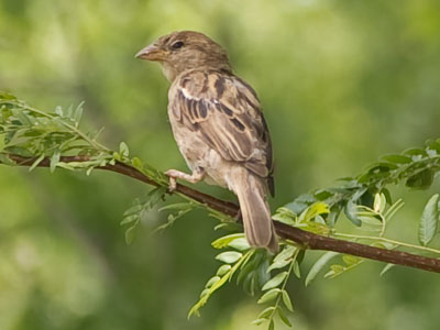 This photo has a country feel, but we were in the city.