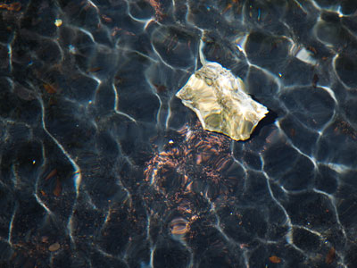 Walking along the canal.