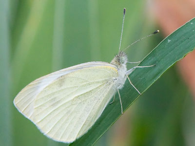 We were both about ready to call it a night.