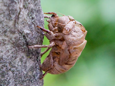 If only it was that easy to just start over.