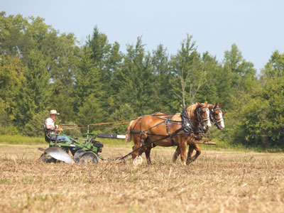 Slowly buzzing o`er my head a swallow wings her flight.  I hear the weary plowman sing as falls the restful night. PAUL LAURENCE DUNBAR