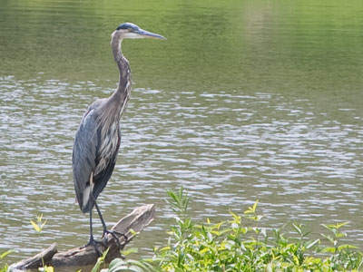 Fishing requires patience.