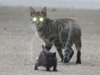 Awww, he has your eyes!