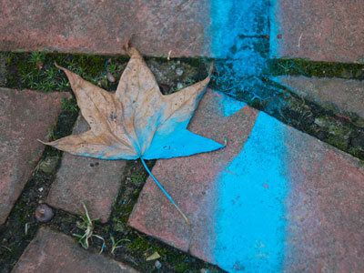 The leaves are starting to turn colors.