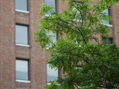 Cold, windy and rainy:  I`ll just stay in here if that`s okay.