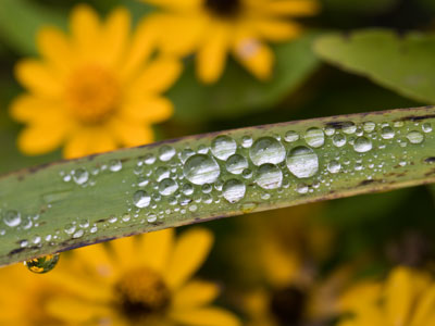 I wanted to take pictures someplace else today, but a wedding was going on there.  Now I`m glad I came here.