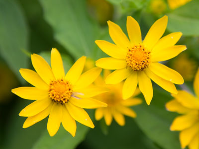 Note to departing summer:  Please stick around.