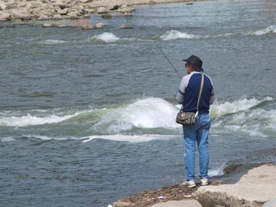 A food truck nearby was selling fish sandwiches.
