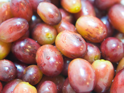 It takes so little to start me whistling `A Felicidade.`