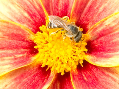 Summer isn`t over quite yet.