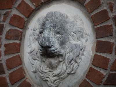 Leo could use a good cleaning.