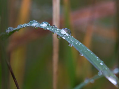 It rained last night.