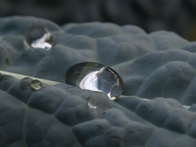 Water you looking at?