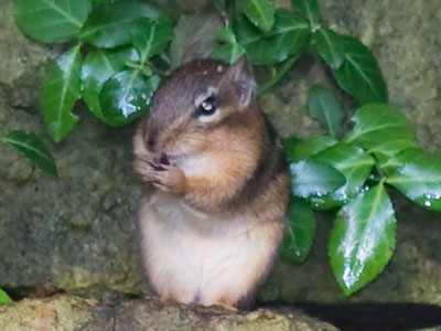 The first face I saw this morning.