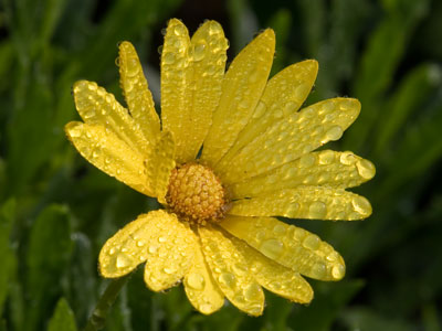 It was another beautiful morning in the garden.