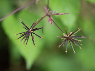 Don`t put your tongue on that.