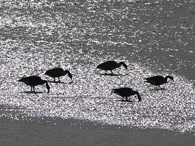 I don`t really like fall, but today was a perfect day.