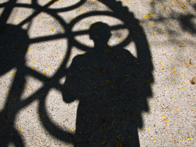 Sunshine or shadow, or gold day or gray day, life must be lived as our destinies rule. PAUL LAURENCE DUNBAR