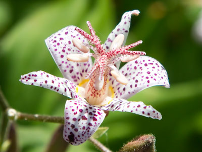 There`s a lot going on here, but nobody notices.