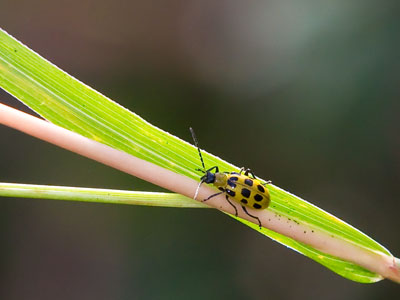 One of the few things moving on the prairie today.