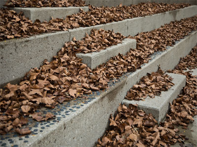 This is my best shot during a difficult week.