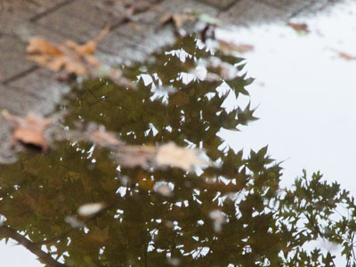 Remember the fallen.