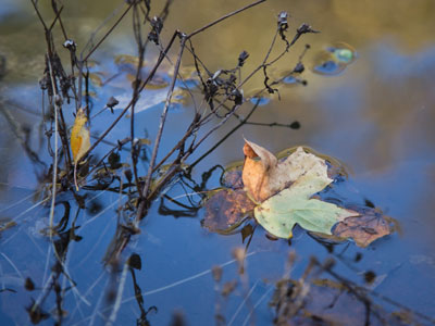 Autumn means the end of so many good things.