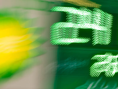 Pictures don`t come easy on cold and rainy days.