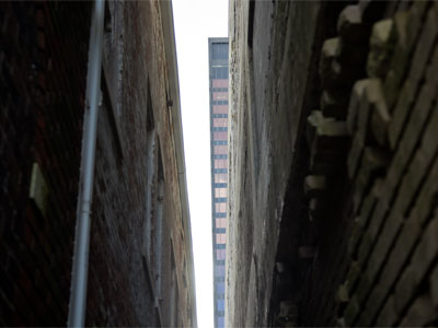 Photographic Tip for Today:  try not to let anything get between you and the subject you`re taking a picture of.