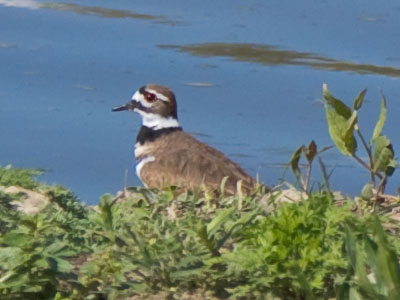 You can`t hide from me.