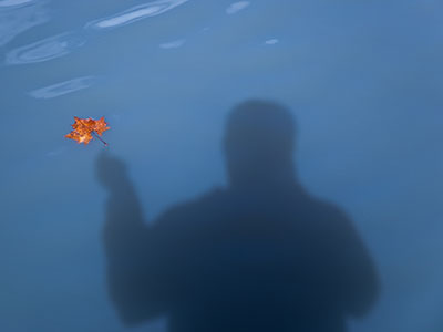 I brought you a leaf.