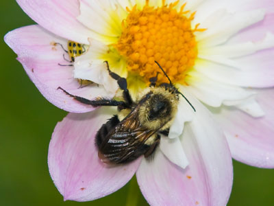 Saturday is a good day to sleep in.
