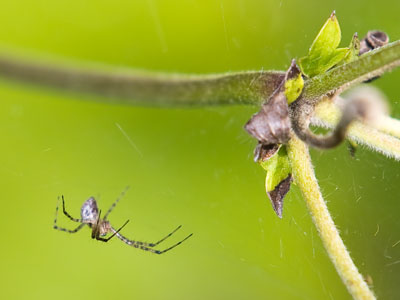 I have sharp eyesight when I`m looking for pictures . . . 