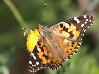 At this point, I began to sense a theme for the day.