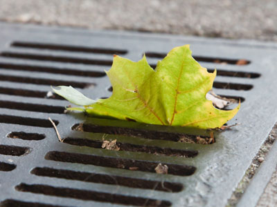 `Mom, why is that guy with the camera on his knees?`  `Dunno honey, just keep walking and don`t look at him.`