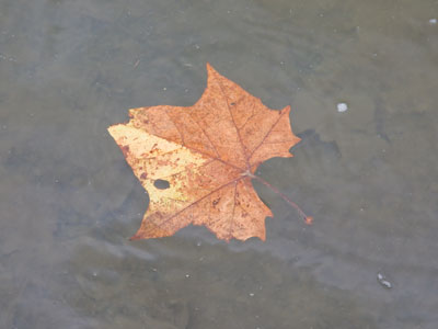 Meanwhile, on the water below.