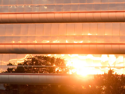 I was cold and ready to go home, but then I saw this.