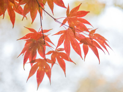 I needed that extra hour of sleep this morning.