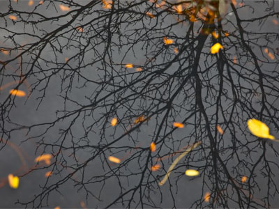 Meanwhile, in much calmer waters.