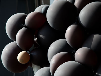 Some days my photos aren`t terrible.