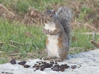 We really need to talk about your binge eating.