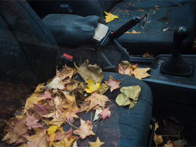 Don`t leave your sunroof open during the fall.