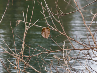 Last one out turn off the lights.